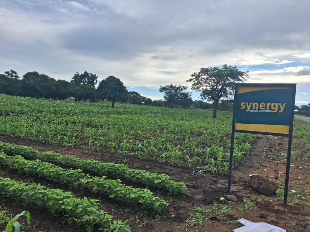 Alt Tab for Services Images2