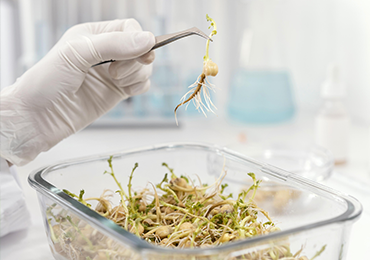 Alt Tab for Services Images1