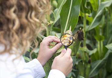 Alt Tab for Services Images3