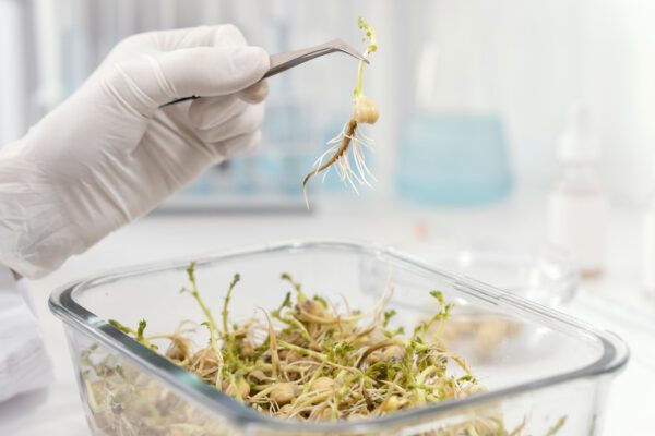 Seed Testing Laboratory