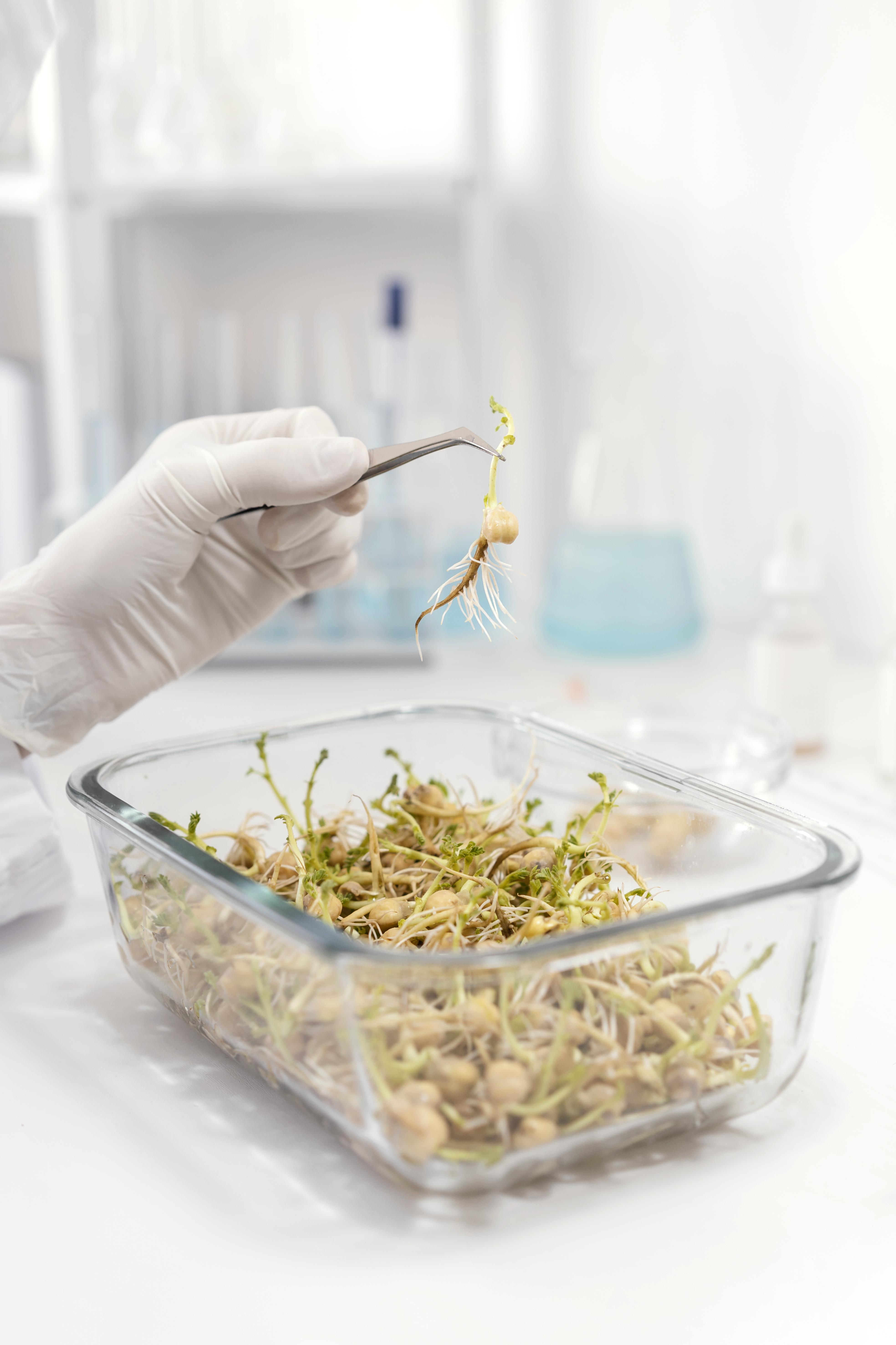 Seed Testing Laboratory