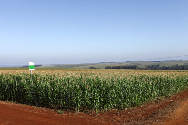 Demonstration Plots