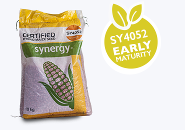 Alt Tab for Projects Images1