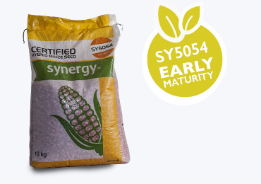 Alt Tab for Projects Images1