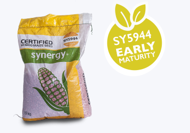 Alt Tab for Projects Images1