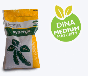 DINA