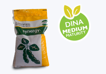 DINA
