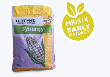 Alt Tab for Projects Images1