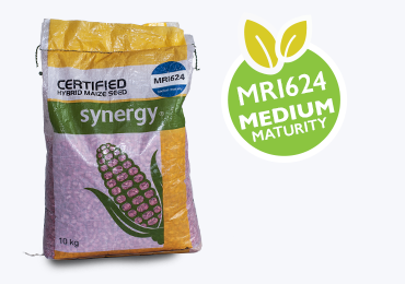 Alt Tab for Projects Images1