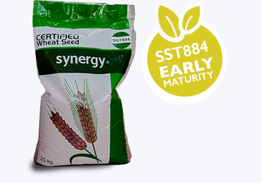 Alt Tab for Projects Images1