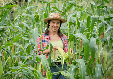 Alt Tab for Services Images4