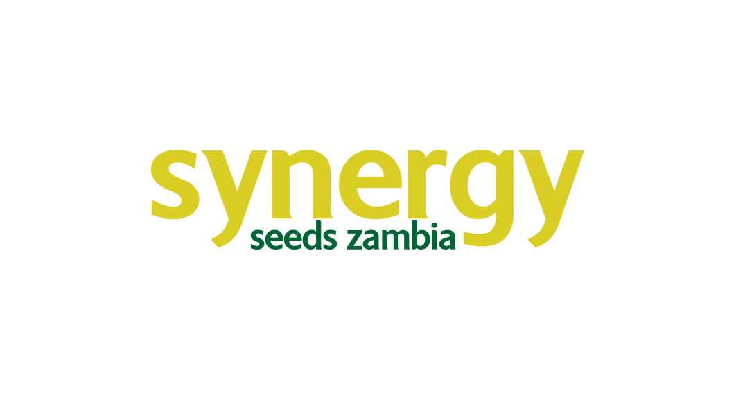 Synergy Seeds Zambia