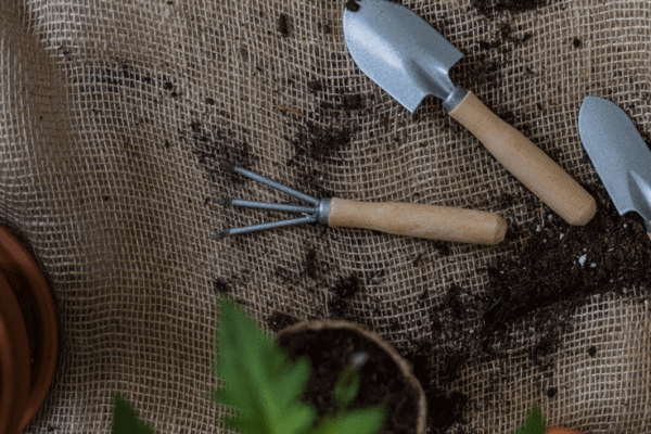 Precision Seed Handling