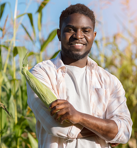 The people behind Synergy Seeds