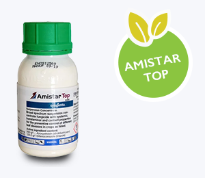 Amistar Top