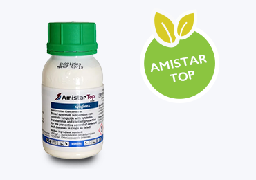 AMISTAR