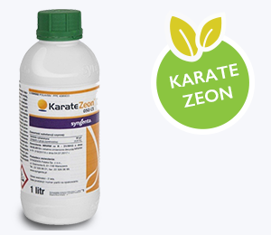 Karate Zeon