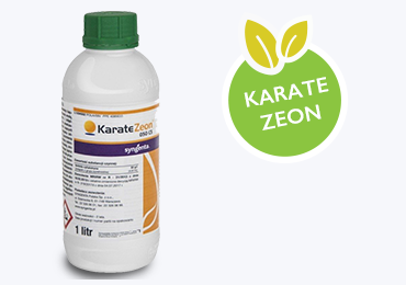 Karate Zeon