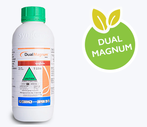 Dual Magnum