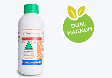 Dual Magnum