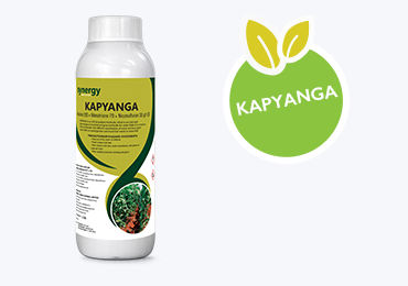 Kapyanga