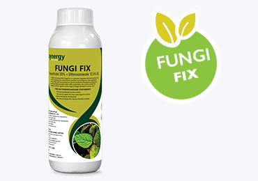 Fungi Fix